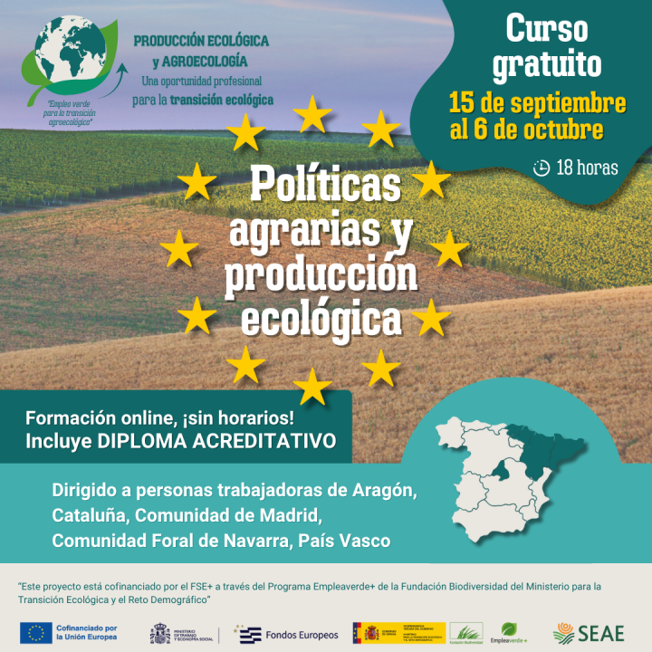 Curso online 